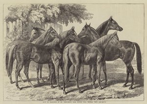 Groep Jaarlingen bij de Verkoop van de Heer Blenkiron, Middle Park, Eltham, Kent
